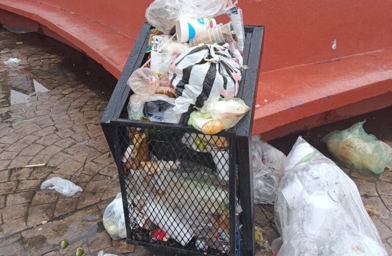 MÁS DE 14 TONELADAS DE BASURA FUERON RECOLECTADAS
