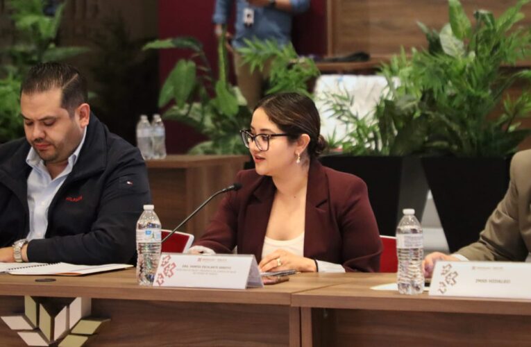 Consejo Estatal de Salud acuerda reforzar prevención ante enfermedades respiratorias en Hidalgo